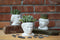 UPG Planter - Frida Kahlo
UPG Planter - Frida Kahlo