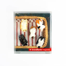 Trendform Magneten Kitty - Set van 5 stuks