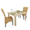Eetkamerstoelen 2 stuks abaca bruin