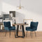 Eetkamerstoelen 2 st fluweel blauw