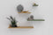 Duraline Wandplank zwevend XL4 60x23,5cm Naturel eiken
Duraline Wandplank zwevend XL4 60x23,5cm...