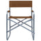 Regisseursstoelen 2 st staal bruin