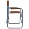 Regisseursstoelen 2 st staal bruin