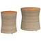 Tuinbijzettafels 2 st met houten blad poly rattan beige