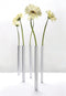 Peleg Design Magnetische vazen - zilver - set van 5 stuks