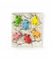 Trendform Magnetische Gecko - set van 6 stuks