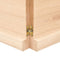 Wandschap 200x40x4 cm onbehandeld massief eikenhout