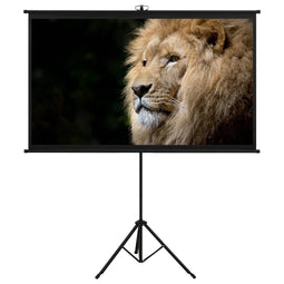 Projectiescherm met statief 16:9 60''