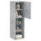 Tv-meubels met LED-verlichting 2 st 30,5x30x102 cm betongrijs