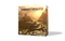 Tawantinsuyu: The Inca Empire
