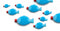 Apenzaken Blauwe Vis