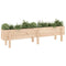 Plantenbak verhoogd 160x30x38 cm massief grenenhout