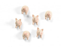 Trendform Magnetisch Varkentje - set van 6 stuks