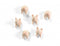 Trendform Magnetisch Varkentje - set van 6 stuks