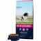Voer Eukanuba Volwassen Kip 15 kg