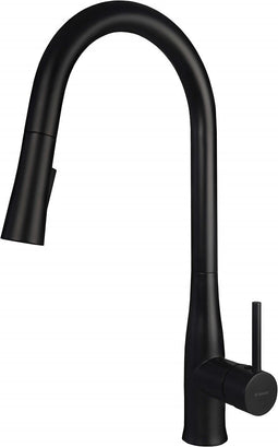 Kitchen faucet with pull-out spout