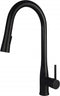 Kitchen faucet with pull-out spout