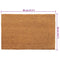 Deurmat 50x80 cm getufte kokosvezel naturel