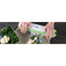 Rollen voor Inpakmachine LAICA VT3513 20 cm 6 m 4 Stuks