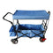 AXI AB210 Opvouwbare Bolderkar met dak, tas, rem en duwstang Blauw