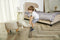 Feel Furniture - Kinder dierenstoel - Olifant