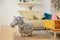 Feel Furniture - Kinder dierenstoel - Zebra