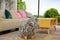 Feel Furniture - Kinder dierenstoel - Zebra