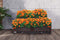 Feel Furniture - buiten plantenbak - Kappa - Donkerbruin