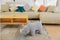 Feel Home - Kinder dierenstoel - Neushoorn - Grijs