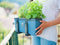 Gusta Garden Harry Herbs Balkonbevestiging, 25 mm