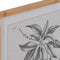 Schilderij DKD Home Decor Spar Kristal 50 x 65 x 2 cm 50 x 2 x 65 cm Botanische planten (4 Onderd...