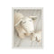 Schilderij Crochetts Multicolour 33 x 43 x 2 cm Schaap