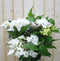 Warentuin Natuurlijk - Hortensia Hydrangea wit randjesbloem 40 cm