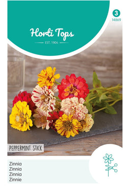 2 stuks - Hortitops - Zinnia Peppermint Stick