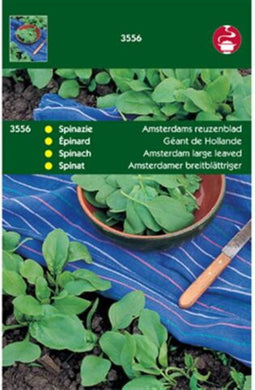 5 stuks - Tuinplus - Spinazie Amsterdams Reuzenblad Sch.Zaad