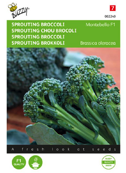 Buzzy - Zaden sprouting broccoli montobello f1 20 zaden