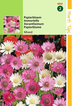 2 stuks - Hortitops - HT Xeranthemum, Papierbloem gemengd