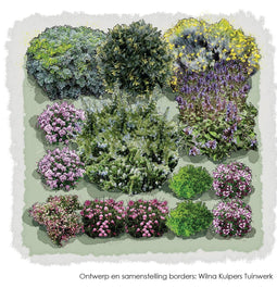 Vierkante Meter Borders - 1m2 Kruidenborder geurig en fleurig 6e