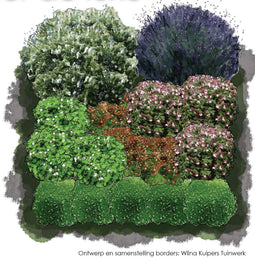 Vierkante Meter Borders - 1m2 Groenblijvende border de luxe 2b
