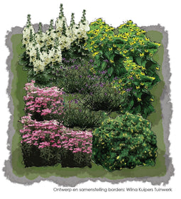 Vierkante Meter Borders - 1m2 Superbloemen border 2f