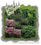 Vierkante Meter Borders - 1m2 Superbloemen border 2f