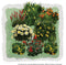 Vierkante Meter Borders - 1m2 Zomerborder in oranje en geel 4c