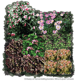 Vierkante Meter Borders - 1m2 In purper en rood 1c
