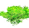 Aquadistri - Eg riccia fluitans nr97