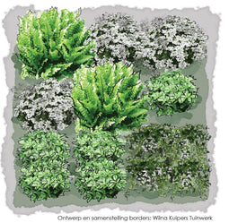 Vierkante Meter Borders - 1m2 Super groenblijvend 1a