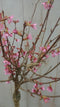 Warentuin Natuurlijk - Prunus Okame op 40 cm stam