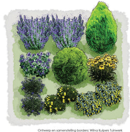 Vierkante Meter Borders - 1m2 Coniferenborder 6b