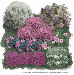 Vierkante Meter Borders - 1m2 Groenblijvende border 2a
