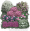 Vierkante Meter Borders - 1m2 Groenblijvende border 2a