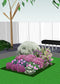 Vierkante Meter Borders - 1m2 Groenblijvende border 2a